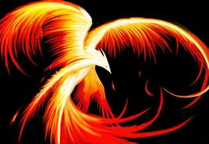 Red phoenix