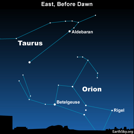 In late July and early August, watch for the three medium-bright 'Belt' stars of Orion the Hunter to ascend over your eastern horizon shortly before dawn.