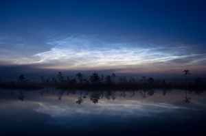 Noctilucent clouds, Estonia. Image credit: Martin Koitmä.