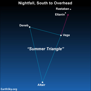Draconids radiate from near the Dragon's Eyes: the stars Eltanin and Rastaban. Familiar with the Summer Triangle? Draw an imaginary line from Altair through Vega points to them.