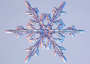 snowflake_libbrecht_300