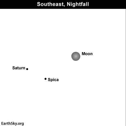 It passes relatively close to Spica for a day or two each month that Spica 