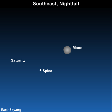 Moon near star Spica and planet Saturn on May 3 03may12 430