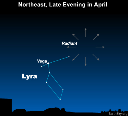 The radiant point of the Lyrid meteor shower is near the bright star Vega in the constellation Lyra the Harp.
