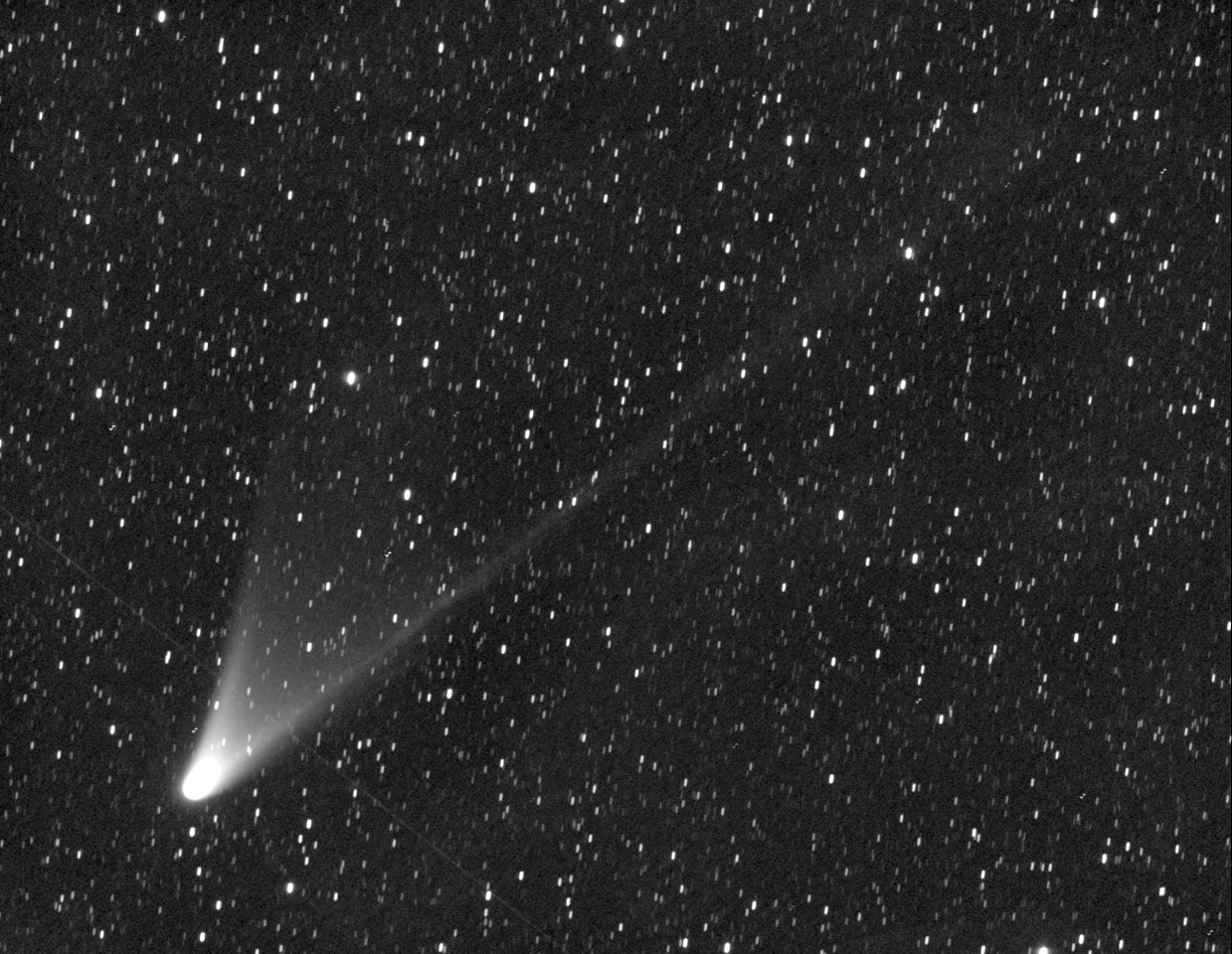 CometPANSTARRS_by_T.Lovejoy-Australia_HR.jpeg