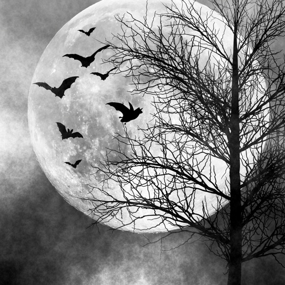 [Image: bats-moon.jpg]