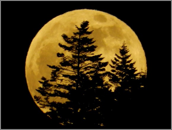 Rising supermoon on May 24, 2013 as seen in Elk, California by our friend Mendocinosportplus.
