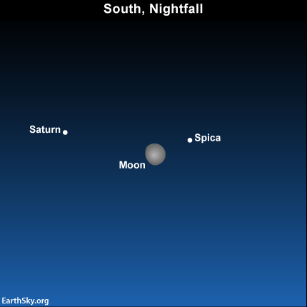 Moon near the star Spica and planet Saturn on June 18.
