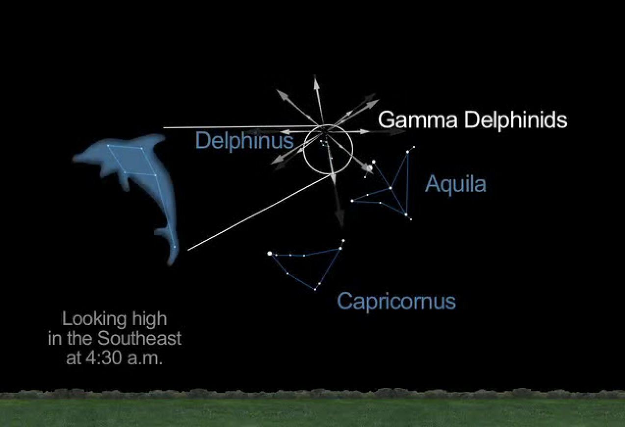View larger. | The Gamma Delphinid meteors radiant from the tiny constellation Delphinus the Dolphin (dolphin image is enlarged on this map, in contrast to real sky).  Map via AboveTopSecret.com