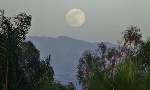 Tonights Super Moon rising over Highland Ca. 6/22/13 Photo credit: Lyle Evans