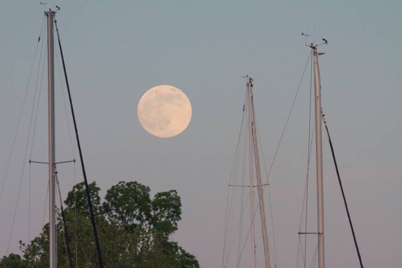 Supermoon rising over Annapolis, MD. 6/22/13.  Photo credit: Kathi D Overton
