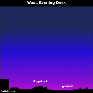 The star Venus and Regulus adorn the western sky after sunset on July 17.