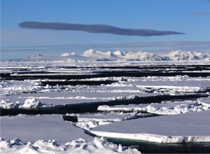 Antarctic and Arctic ice floes are a rich source of life and mic