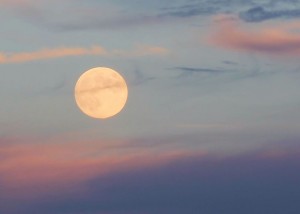 Moon Sept. 18, 2013 by Amy Simpson-Wynne