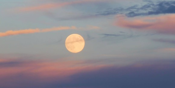 Amy Simpson-Wynne in Virginia posted this beautiful twilight photo of the September 18, 2013 Harvest Moon.  Thank you, Amy!  Watch for the Harvest Moon on September 19, too.  A Harvest Moon is characterized by rising near the time of sunset for several evenings in a row.