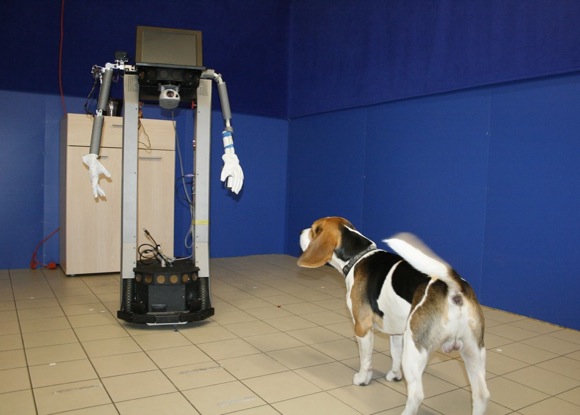 robot-dog-interaction