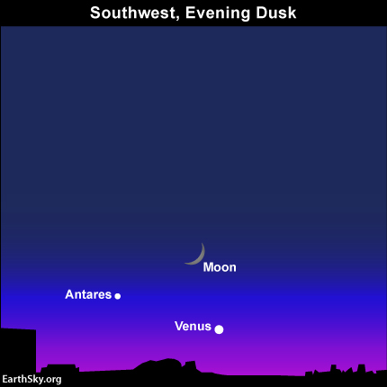 Moon, planet Venus and star Antares at dusk on October 8