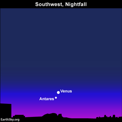 2013-october-16-venus-antares-night-sky-chart
