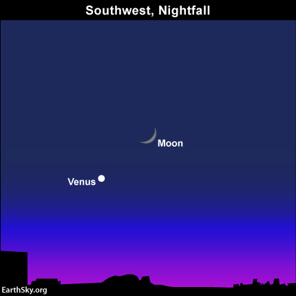 Waxing moon and Venus closer after sunset on December 5. Read more