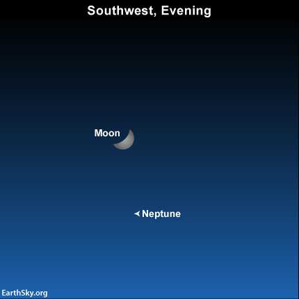By the way, tonight's waxing crescent moon will be close to the planet Neptune on the sky's dome, but you'll absolutely need an optical aid and probably a sky chart (and possibly a moonless night) to see the eighth planet outward from the sun.