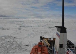 View from icebound Russian ship