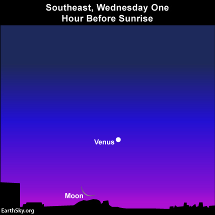 2014-jan-28-moon-venus-dawn