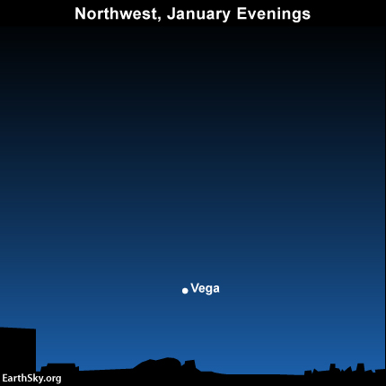 In its journey around the galaxy, our sun moves toward the bright star Vega in the constellation Lyra the Harp.