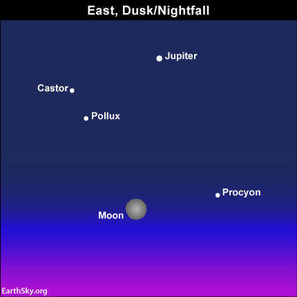 2014-february-12-moon-jupiter-castor-pollux-procyon-night-sky-chart