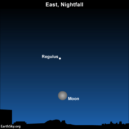 2014-february-15-moon-regulus-night-sky-chart