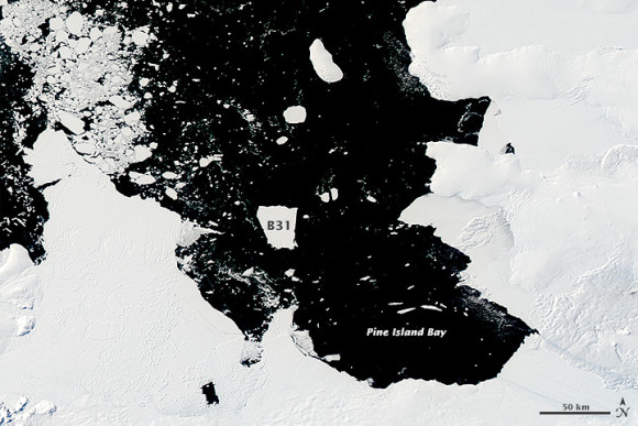 In the coming months, B31 is expected to leave the Amundsen Bay and enter the waters of the Southern Ocean.  Since southern winter is approaching, it'll be dark over that area, and the iceberg will be harder to track.