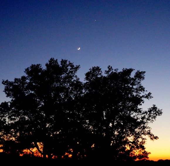 Debra Fryar in Calobreves, Texas captured this photo of the moon and Jupiter on May 31, 2014.  Jupiter was close to the twilight then.  In early July, Jupiter will be even closer to the twilight, about to disappear in the sun's glare.