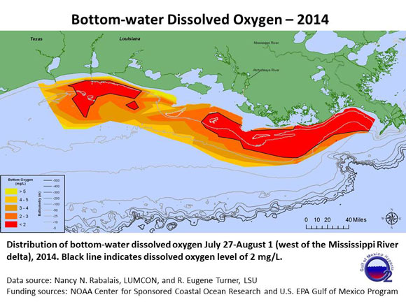 Size of the 2014 dead zone in the Gulf of Mexico. Image via LUMCON and Louisiana State University.