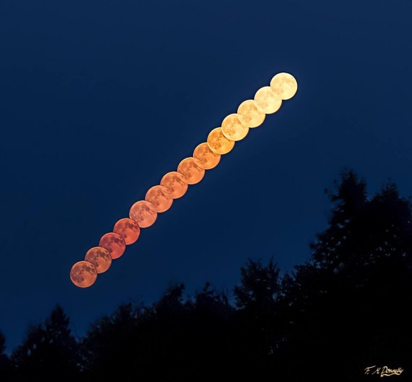 Super cool composto super-lua de Fiona M. Donnelly em Ontario.  Este foi o supermoon de agosto de 2014.