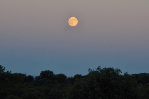 August 10 supermoon over Madrid, Spain by Annie Lewis.