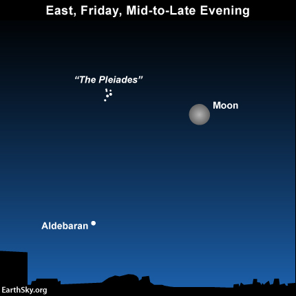 Tonight, on October 10, the moon shines close to the Pleiades star cluster.