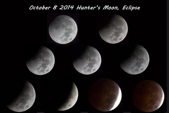 Eclipse mosaic by Don Hartsaw