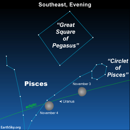 Waxing gibbous moon near planet Uranus on November 3 and 4. Read more