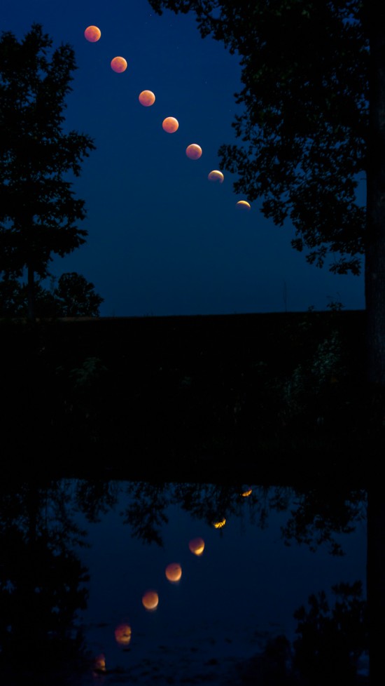 Time lapse of October 8, 2014 lunar eclipse as reflected in a pond in central Illinois, by Greg Lepper.