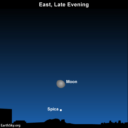 2015-feb-8-moon-spica-night-sky-chart