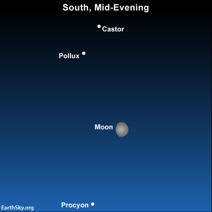 2015-february-28-castor-pollux-procyon-night-sky-chart