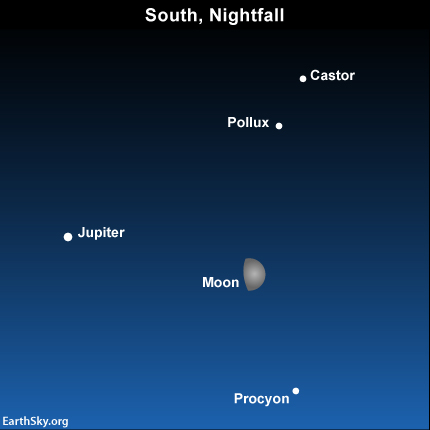 2015-march-28-jupiter-castor-pollux-procyon-night-sky-chart