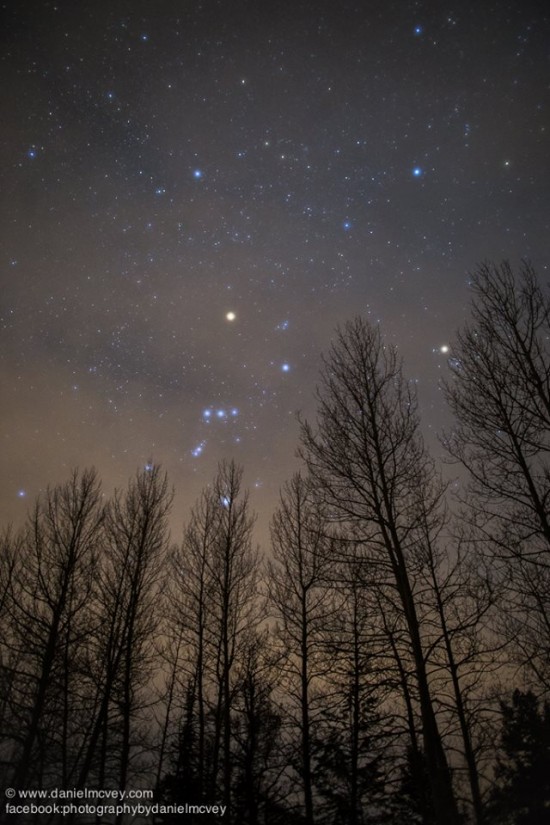 Orion in the Canopy - Summit County, Colorado.  Photo posted to EarthSky Facebook in March 2015 by Daniel McVey.  Visit Photography by Daniel McVey.