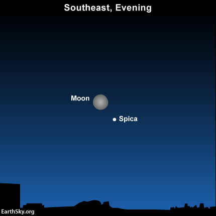 2015-april-4-spica-moon-night-sky-chart