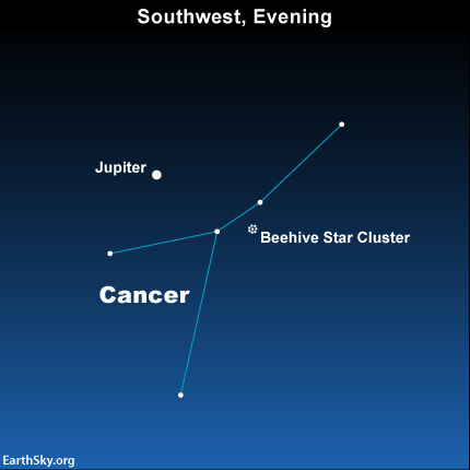 2015-may-11-cancer-jupiter-beehive-night-sky-chart