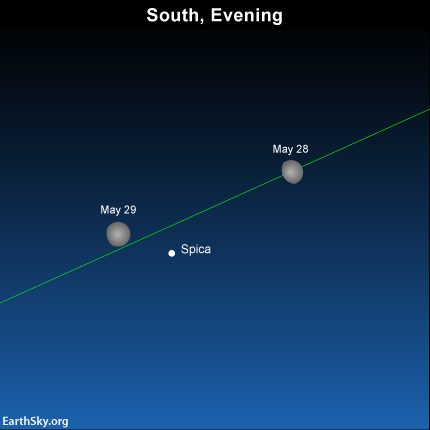 2015-may-28-29-moon-spica