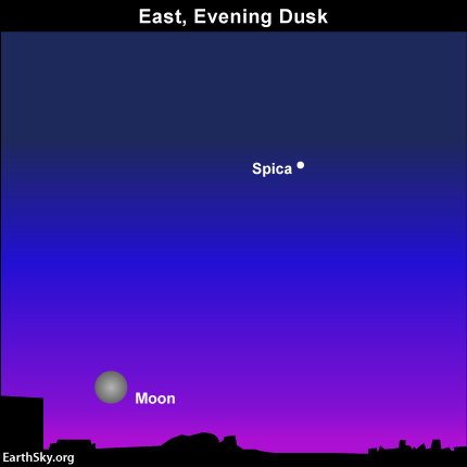2015-may-3-spica-moon-night-sky-chart