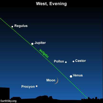 Cuando cae la noche, para ver las estrellas Cástor y Pólux a estallar hacia fuera al norte de la eclíptica y para la estrella Procyon, al sur de la eclíptica. Busque Regulus, en línea con Venus y Júpiter.