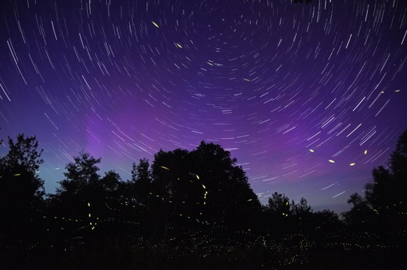 Fireflies and aurora, June 22 in Milo, Maine. Wilderness Vagabond wrote, 