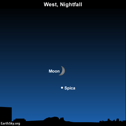2015-aug-19-spica-moon-night-sky-chart