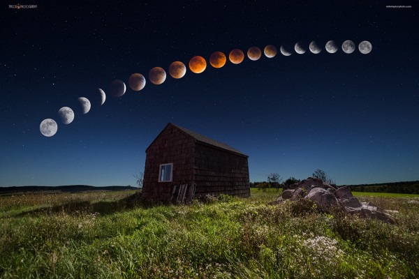 row of moons from full to full with red-orange eclipsed moon in the middle.